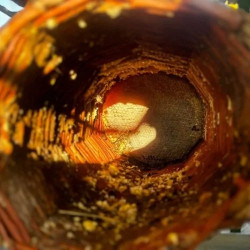 Sepet Karakovan Petek Bal